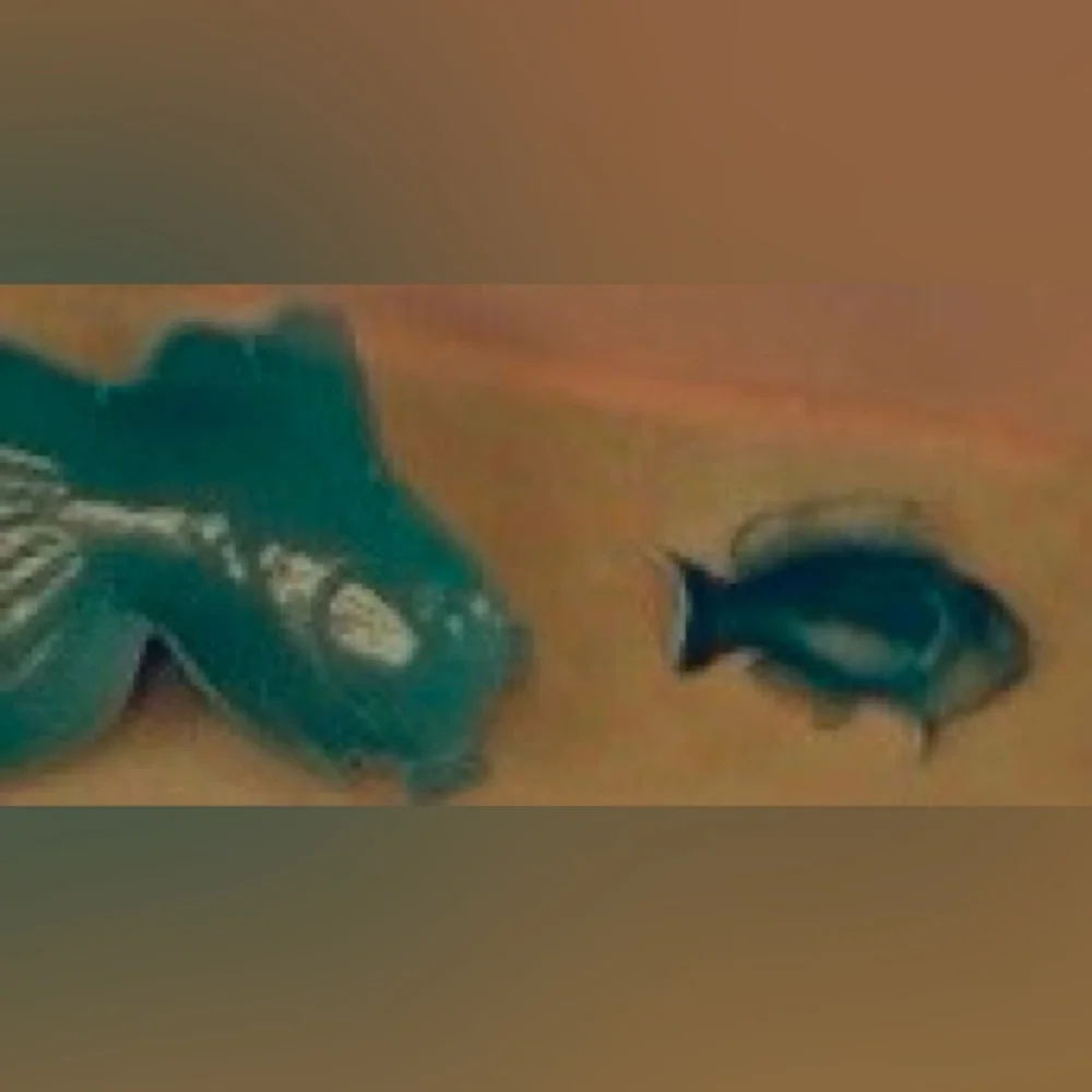 Thrift Store Find 1 Vintage Food Safe Teal🐟 Shaped Plate/Platter/Bowl/Decoration